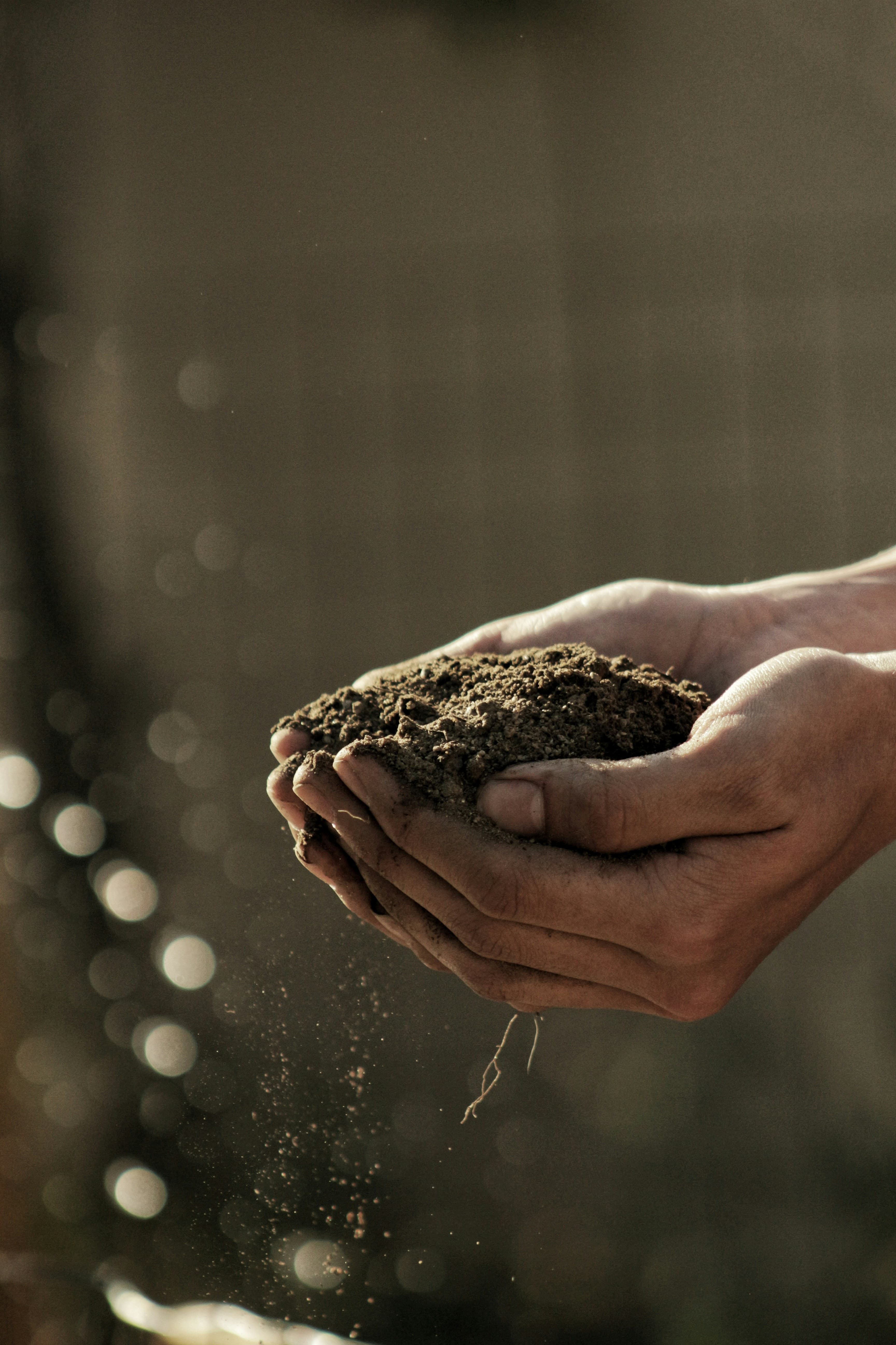 farm-hands