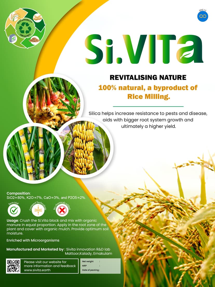 SiVITA Rice Husk Ash Block